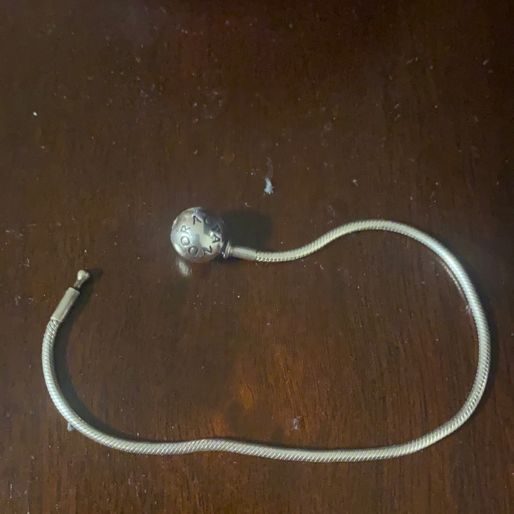 Pandora Bracelet